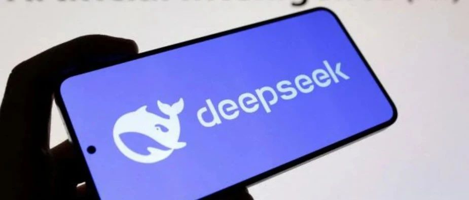 中国AI新星 DeepSeek 遭多国政府机构联合围剿